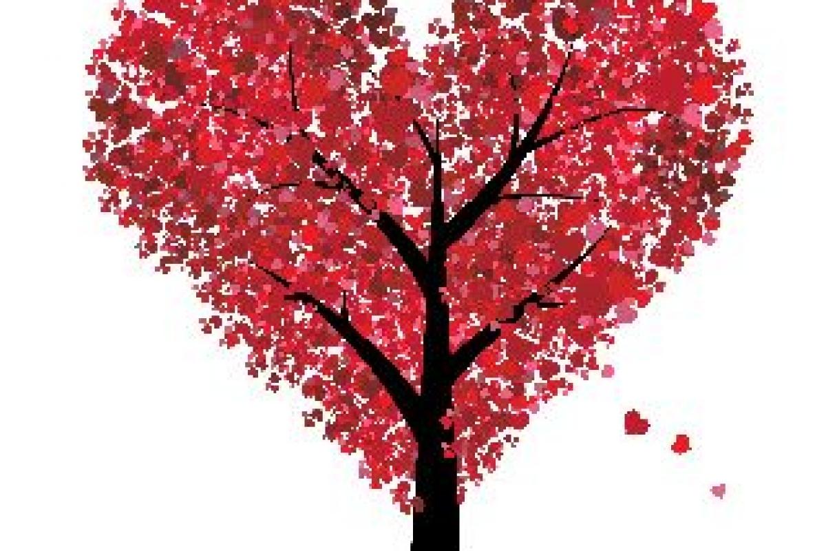 San_Valentino___Albero_di_cuori.jpg